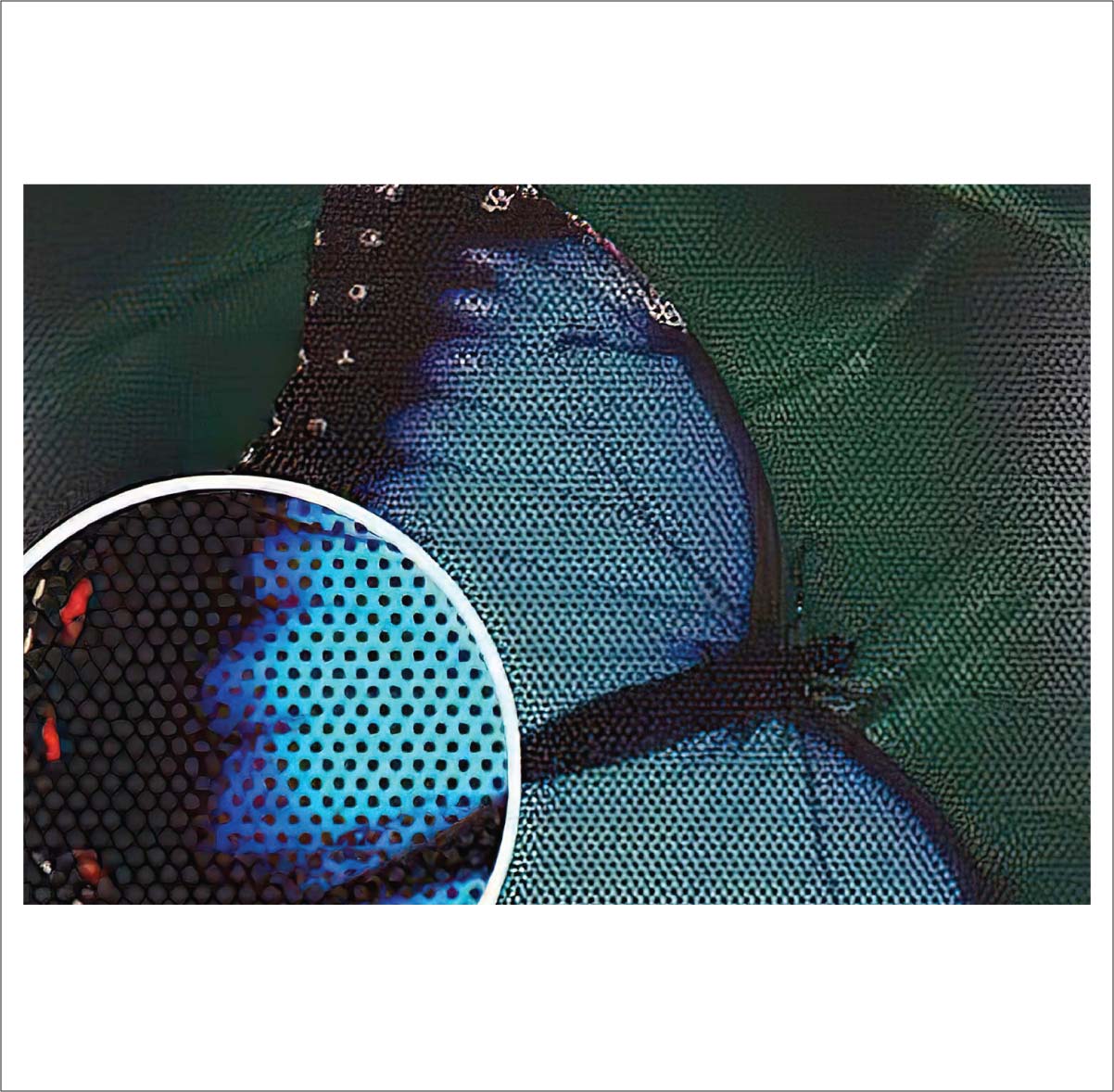 VIEW-THRU VINYL PRINT